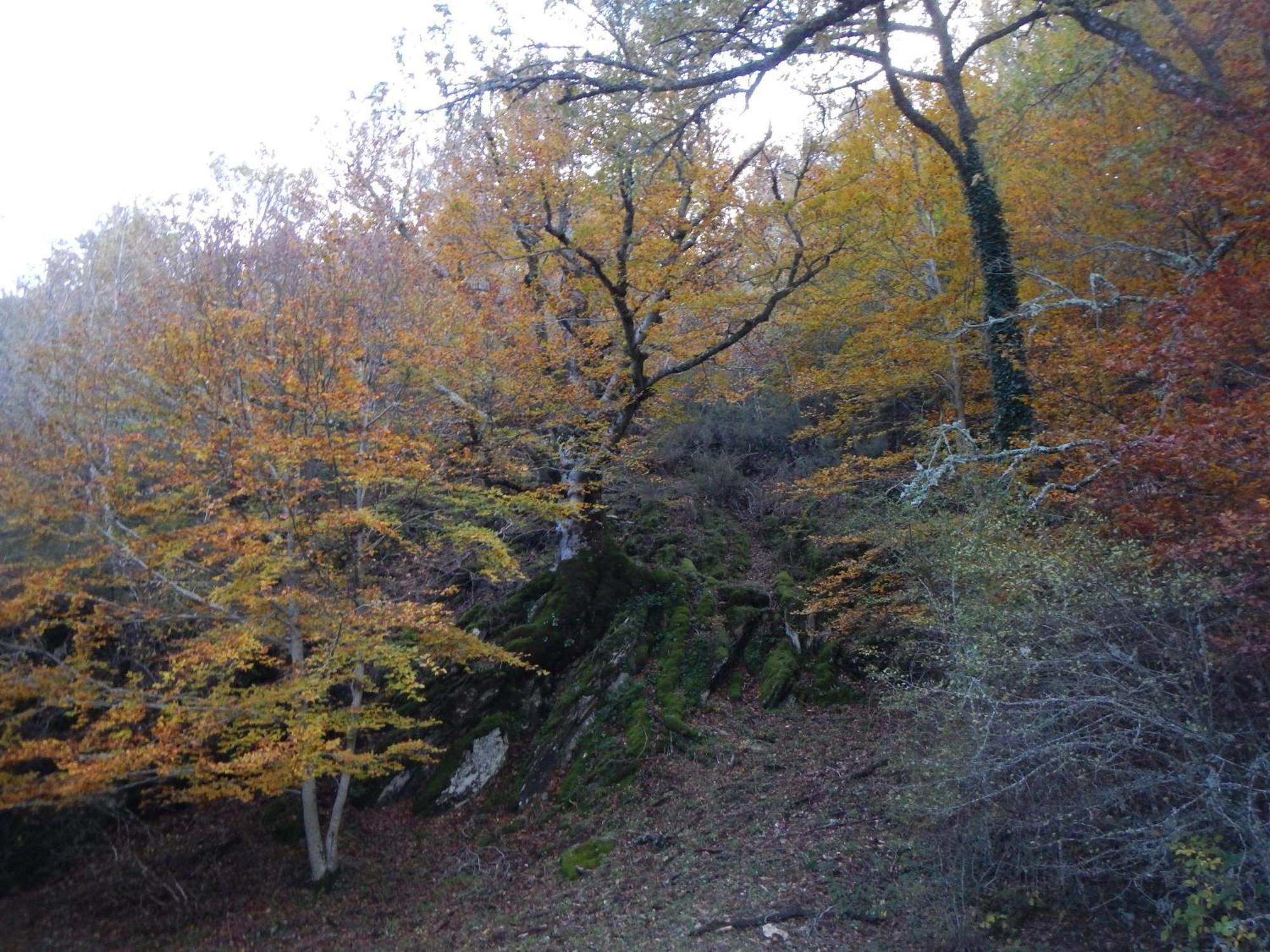 Alojamiento Rural Fuente Del Arca Pradena del Rincon Luaran gambar