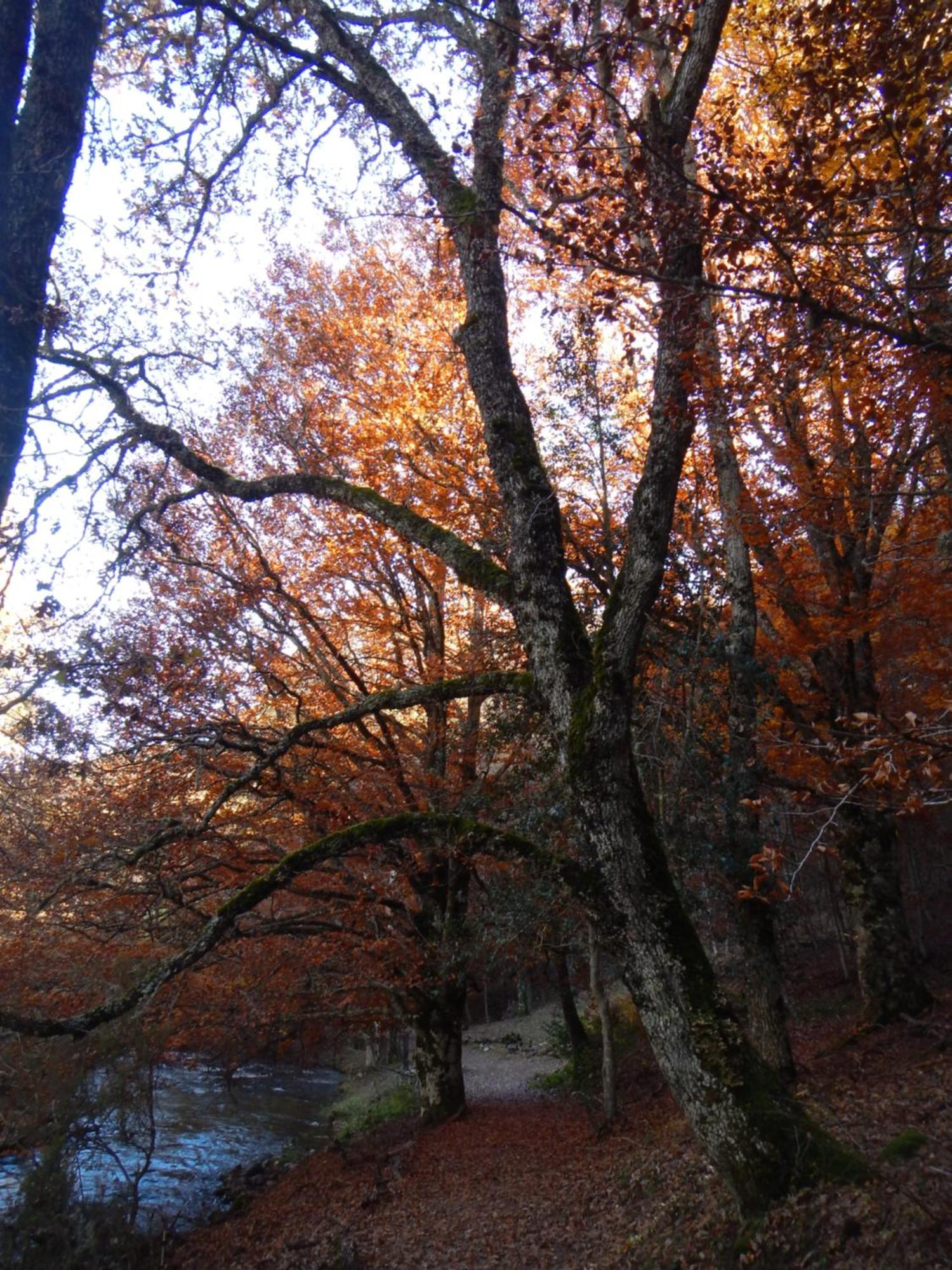 Alojamiento Rural Fuente Del Arca Pradena del Rincon Luaran gambar